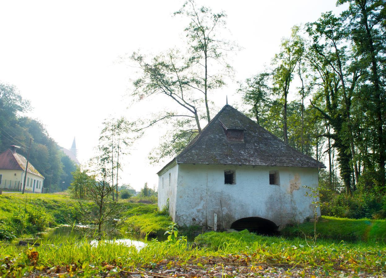 Schlosstaverne Braunau am Inn Zewnętrze zdjęcie